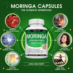 Moringa For Immunity & Joint Support